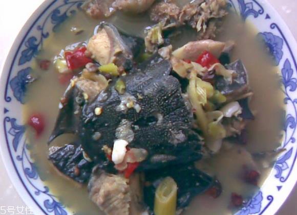 鲶鱼是吃什么长大的 肉食性鱼类