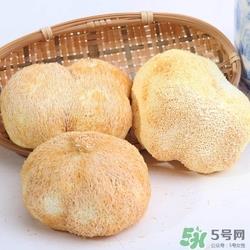 感冒能吃猴头菇吗?感冒吃猴头菇好吗