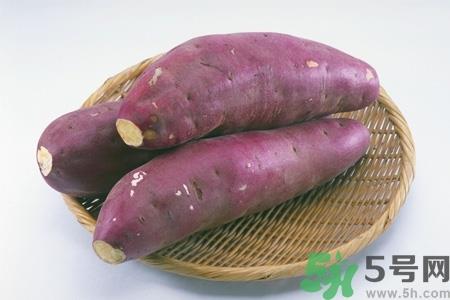 红薯和什么搭配吃最好?红薯和什么搭配最营养? 红薯和什么搭配吃最好?红薯和什么搭配最营养?