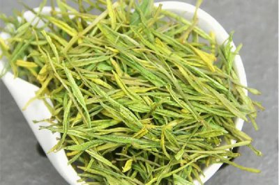 ​安吉白茶什么季节最好喝 安吉白茶适宜人群