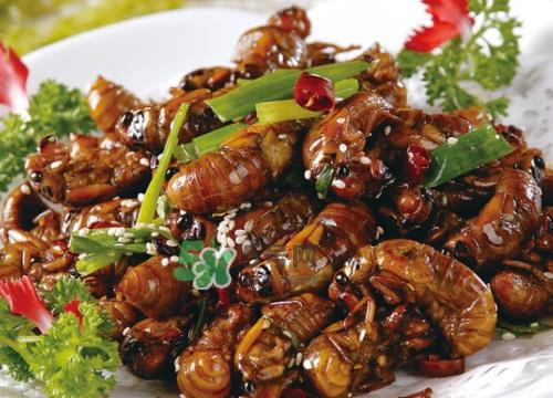 金蝉可以冷冻吗_金蝉放冰箱怎么保存_金蝉怎么放不发黑