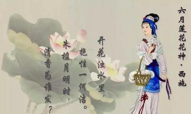 网络配图