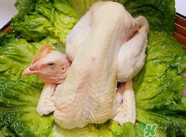 鸡肉放冷藏还是冷冻？鸡肉放冷冻的保质期