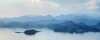 ​八大山人是指谁
