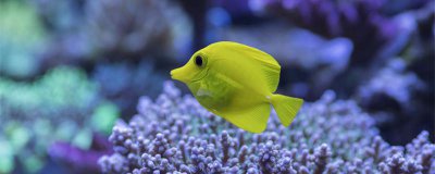 ​生物多样性包括哪三个层次