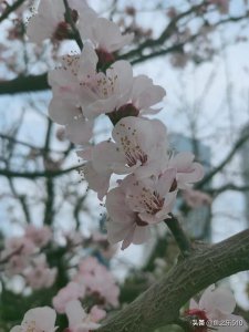 ​学生怎样可以简单赚零花钱（正规渠道赚点零花钱)