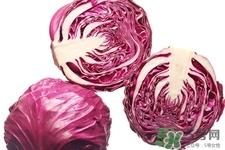 紫甘蓝是转基因食品吗？紫甘蓝是转基因蔬菜吗？