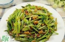 吃水芹菜有什么好处？吃水芹菜有哪些好处