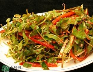 吃水芹菜有什么好处？吃水芹菜有哪些好处