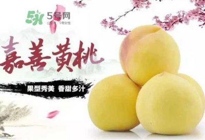 ​嘉善黄桃多少钱一斤？嘉善黄桃的上市时间