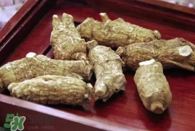 ​西洋参补肾吗？西洋参适合什么季节吃