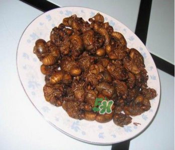 ​吃金蝉过敏怎么办？吃金蝉为什么会过敏？