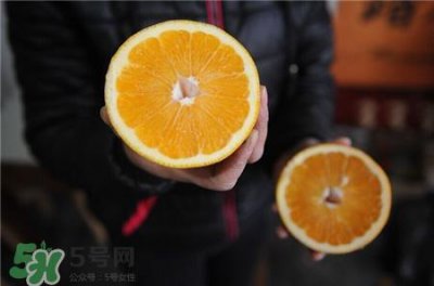 ​胡柚的作用 胡柚的功效