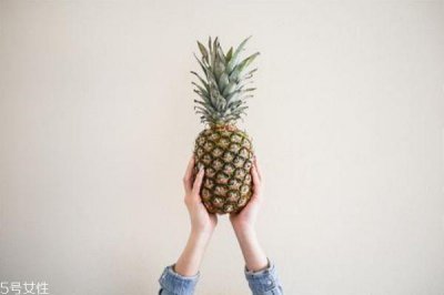 ​菠萝是长在树上还是地上 菠萝是热性还是凉性