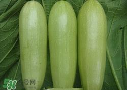 菜瓜是什么瓜?菜瓜的功效与作用