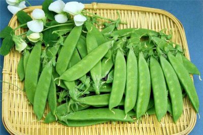 ​荷兰豆有什么营养价值 对身体好处多