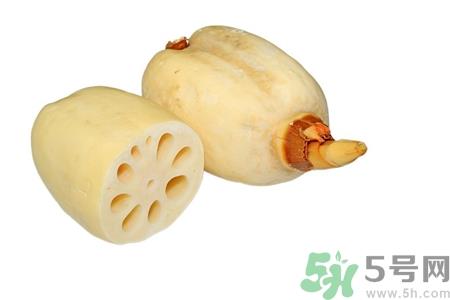 七孔藕和九孔藕那种好?九孔莲藕和七孔莲藕的区别 