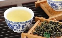 乌龙茶和生姜能一起泡吗?乌龙茶和生姜能减肥吗?