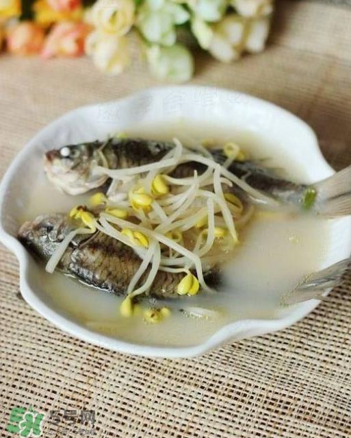 美味鱼汤的做法 白色鱼汤哪些人不能常喝