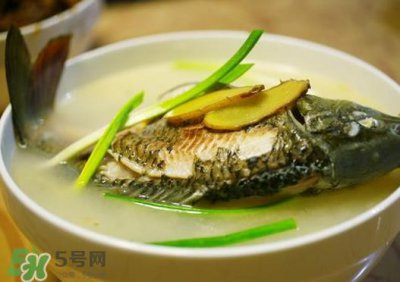 ​鲤鱼汤怎么做好吃？鲤鱼汤里面可以放什么？