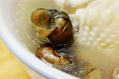 ​石螺鸡汤的做法 健康养生食谱