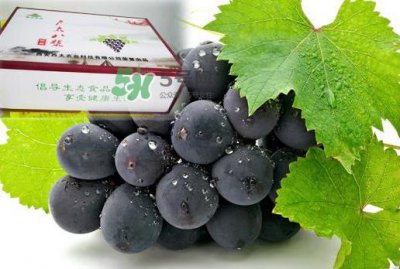 ​户太八号什么时候成熟？户太八号几月份成熟？