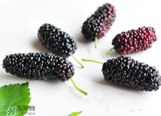 桑葚什么时候结果？桑葚几年结果？