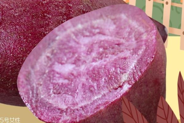 紫薯怎么挑 照着这个来