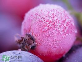 蓝莓变红可以吃吗？蓝莓发红是坏掉了嘛？