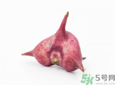 ​菱角可以炖排骨吗?菱角炖排骨有什么好处