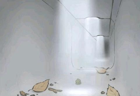 《旅行青蛙》这些稀有照片你都齐了吗? 背景故事原来这么暖心!
