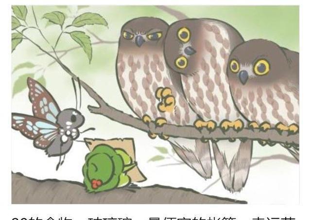 《旅行青蛙》SSR明信片获取玄学攻略 多给钱才能让儿子更潇洒