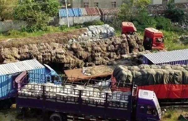 《战狼2》制作班底，外国抢着播，这部国产剧火了你还不知道？