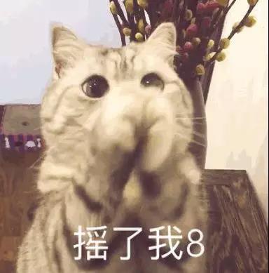 《我的真朋友》的三观到底什么样？
