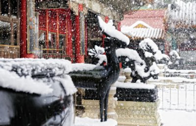 ​百年未遇，极端暴雪来袭，千万人受灾，全城瘫痪：东北人辛苦了