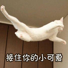 广东部分专科院校宿舍曝光！12人单间VS豪华宿舍，明年你会住哪里？