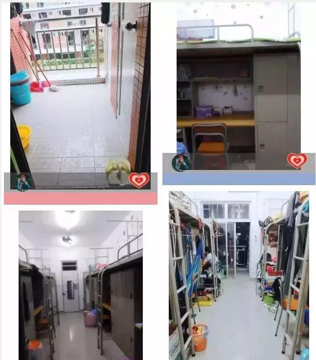 广东部分专科院校宿舍曝光！12人单间VS豪华宿舍，明年你会住哪里？