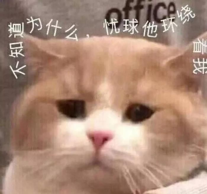 G娃娃害人索命、夫妻联手镇压恶灵的真实事件！