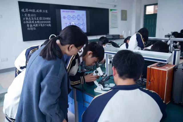 「春风卧龙」重磅｜世界这么大，来南阳市第一完全学校看看吧