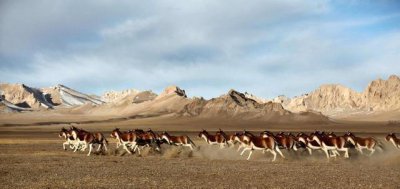 ​中国的这个地方,30万平方公里荒无人烟,你知道是哪里吗