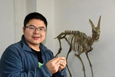 ​取名“梼杌”的剑齿虎，原来是个四不像！