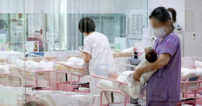 ​韩国宣布进入“人口国家紧急状态”，宠物医院数量已是儿童医院的两倍