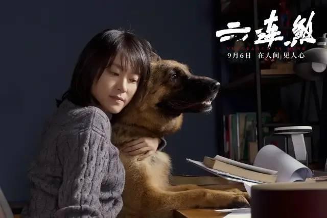 毁一个文艺片女王，一部烂片就够了，还是离国产悬疑片远点吧