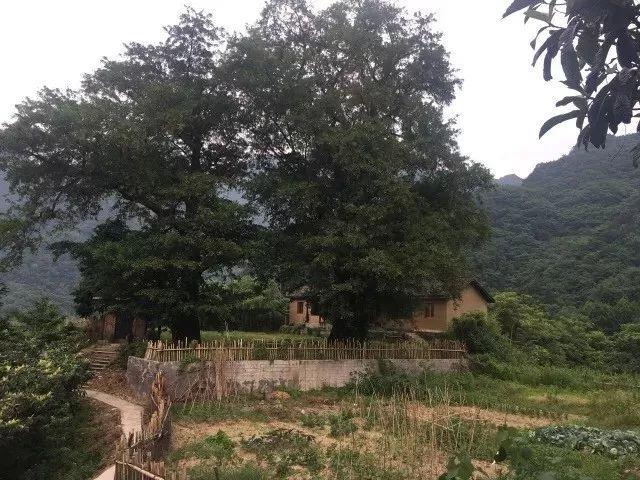 国晓飞：丹江口官山镇那些你不知道的事儿