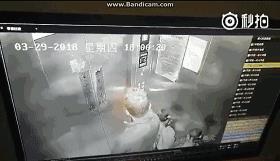 电梯猥亵小女孩被人肉，我第一次这么感谢网络暴力