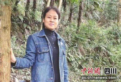 ​高原又生羊角花——追记四川羌族巡察干部杨红丽