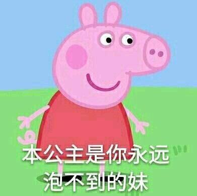 小猪佩奇表情包