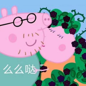 ​小猪佩奇表情包