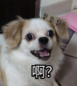 ​盘点“颜值很低”的7种狗，第一名让人意外
