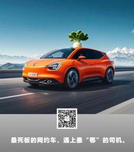 ​最傻的萝卜快跑，居然最守交规